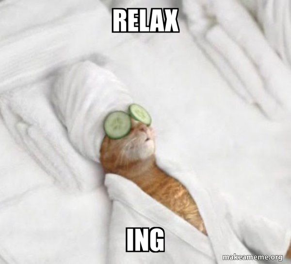 relax ing - Pampered Cat Meme Meme Generator