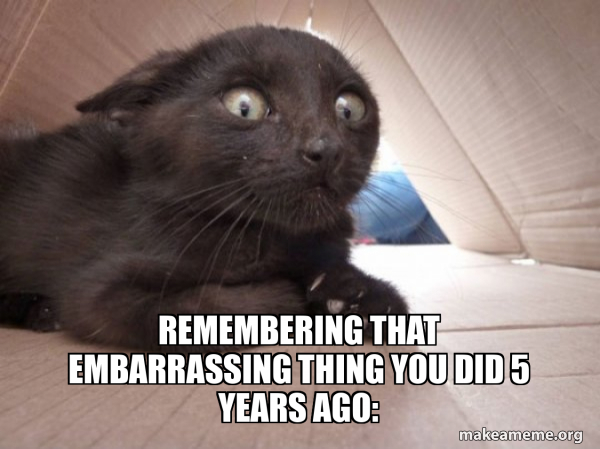 Schitzo Cat meme