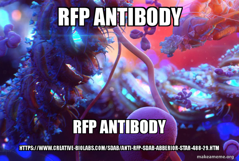 RFP antibody RFP antibody https://www.creative-biolabs.com/sdab/anti ...