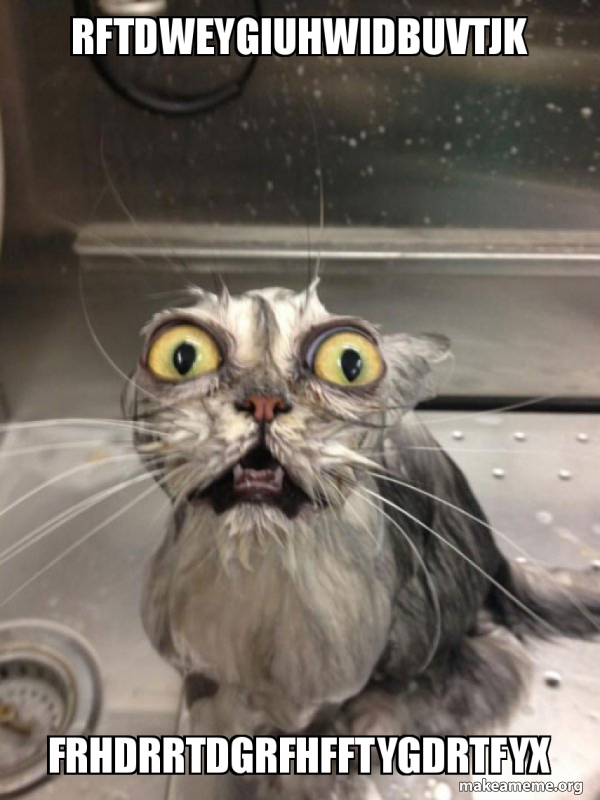 Cat bath meme