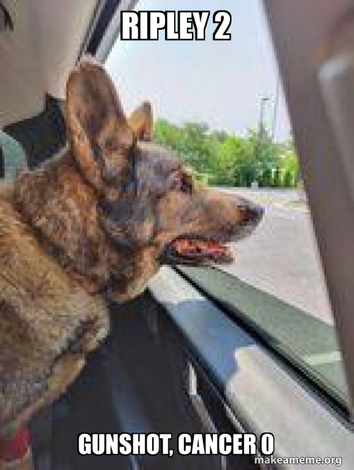 RIPLEY 2 GUNSHOT, CANCER 0 Meme Generator