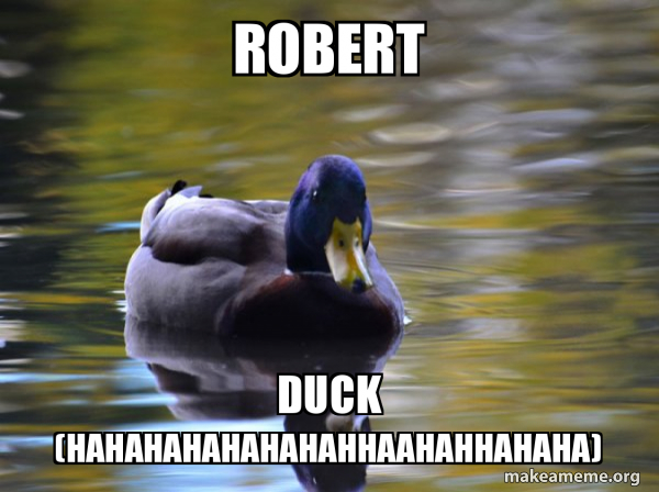 Zen Advice Mallard meme