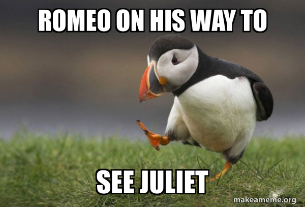 Unpopular Opinion Puffin meme