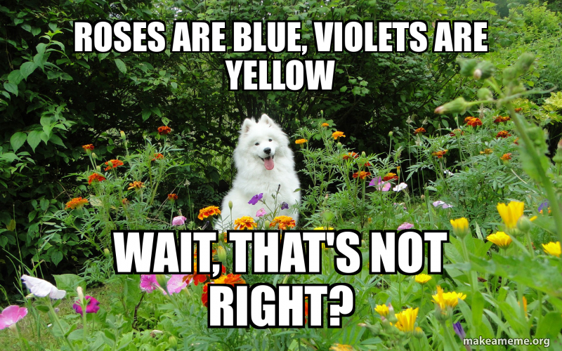 Roses are blue, violets are yellow Wait, that's not right? Meme Generator
