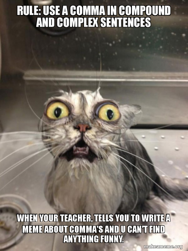 Memes About Commas Comma Memes For ELA Class Imgflip