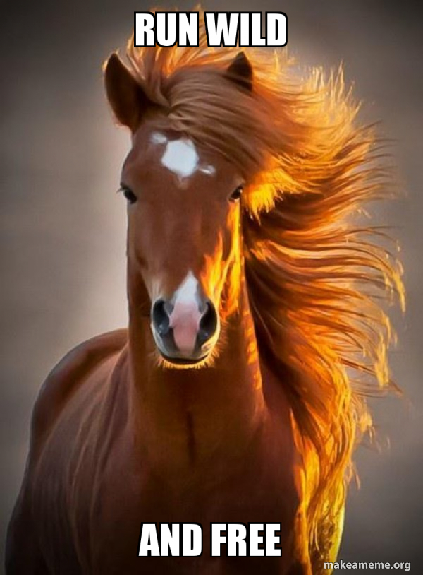 Ridiculously photogenic horse meme