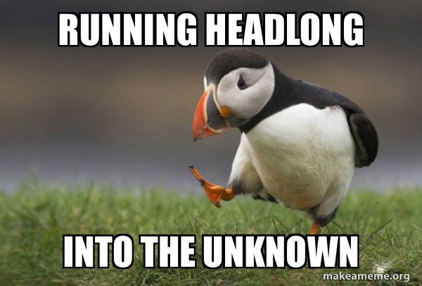 Unpopular Opinion Puffin meme