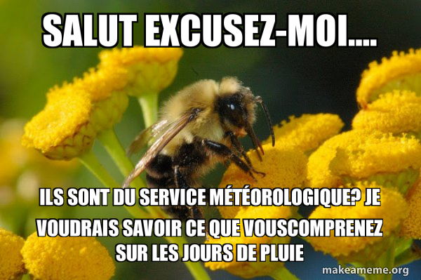 Good Guy Bee meme