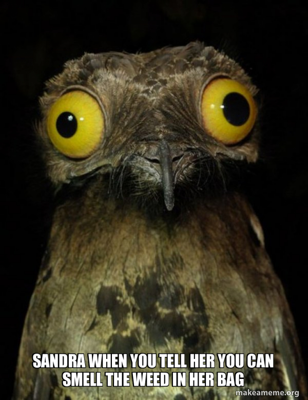 Weird Stuff I do Potoo meme