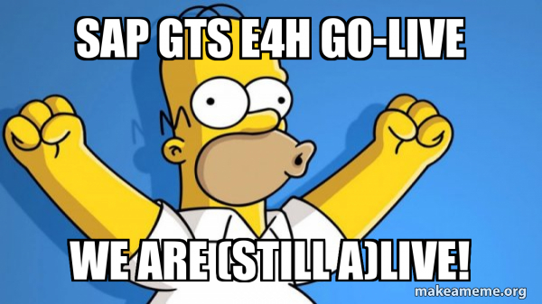 SAP GTS E4H Go-Live We are (still a)live! - Happy Homer Meme Generator
