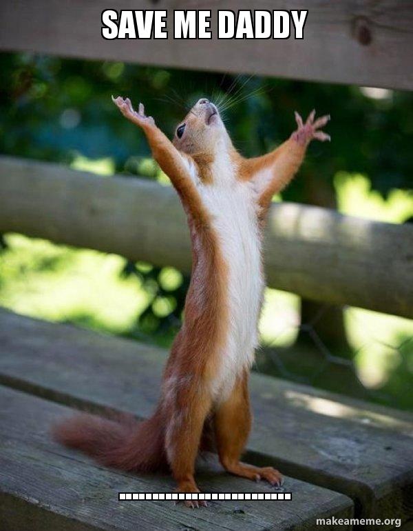 save me daddy .......................... - Happy Squirrel Meme Generator