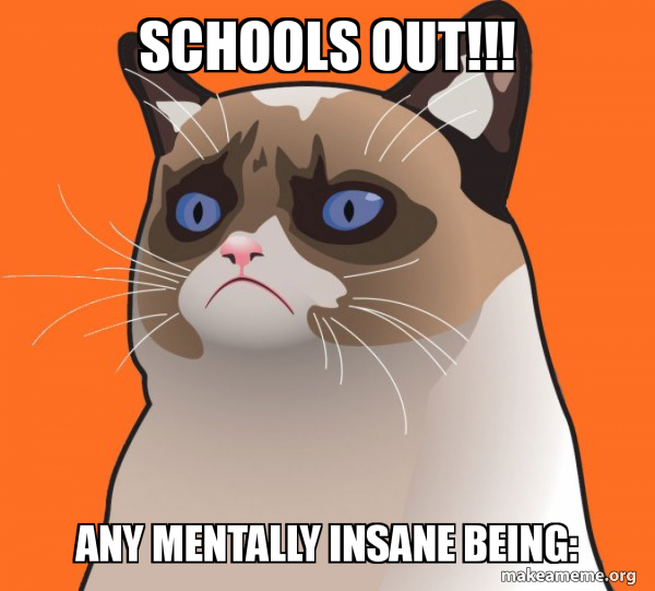 SCHOOLS OUT Any Mentally Insane Being Cartoon Grumpy Cat Meme Schools Out 14fa37a07c