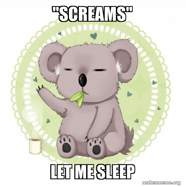 Aussie Koala doing the night shift meme