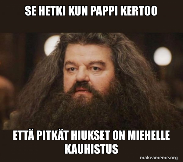 Hagrid - I should not have said that meme