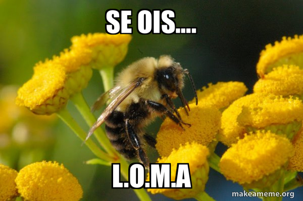 Good Guy Bee meme