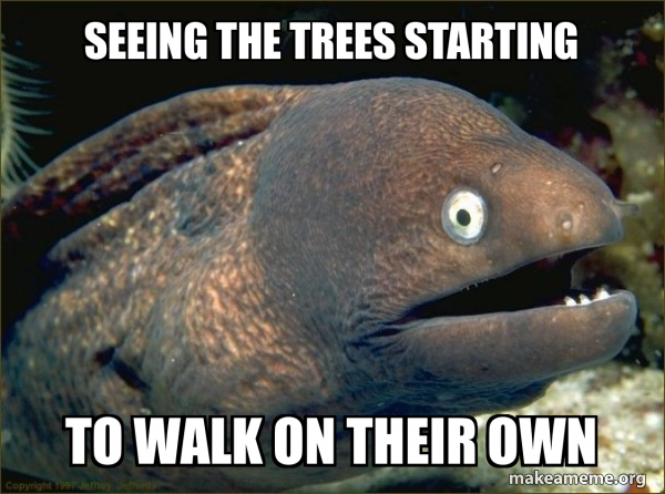 Bad Joke Eel meme
