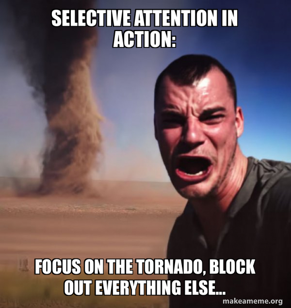 Selective Meme Selective Attention in action: Focus on the tornado, block out ...