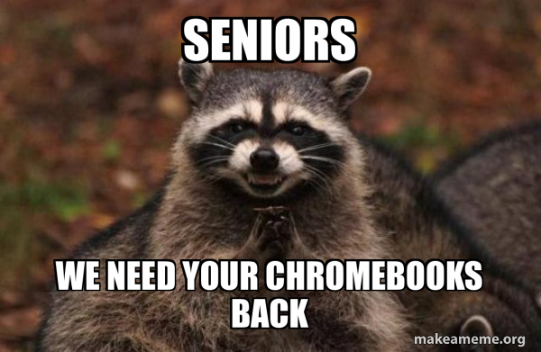 Senior Racoon SENIORS WE NEED YOUR CHROMEBOOKS BACK - Evil Plotting Raccoon Meme ...