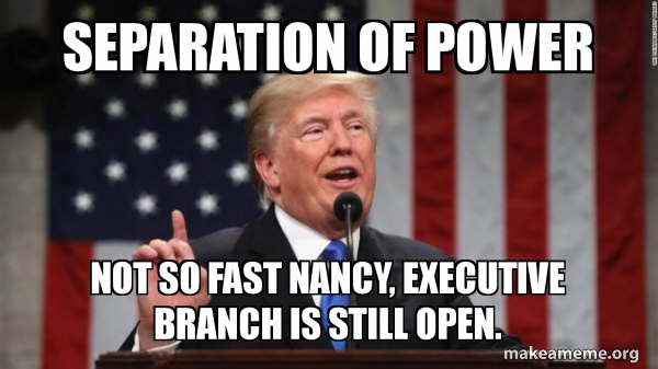 Separation Of Power Not So Fast Nancy Executive Branch Is Still Open Donald Trump Make A Meme
