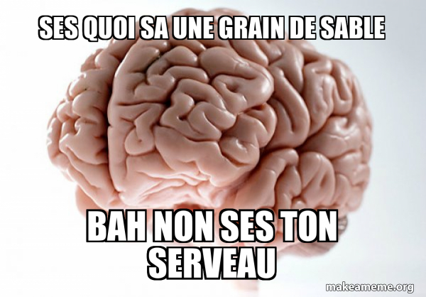 Scumbag Brain meme