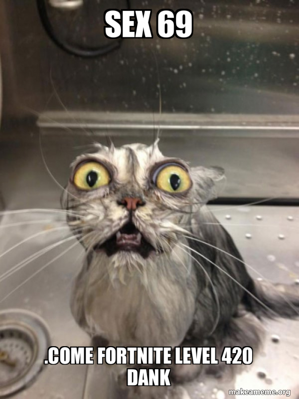 Cat bath meme