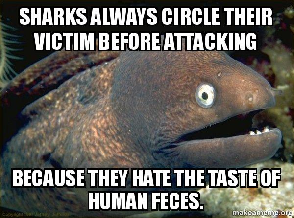 Sharks always circle their victim before attacking because they hate ...
