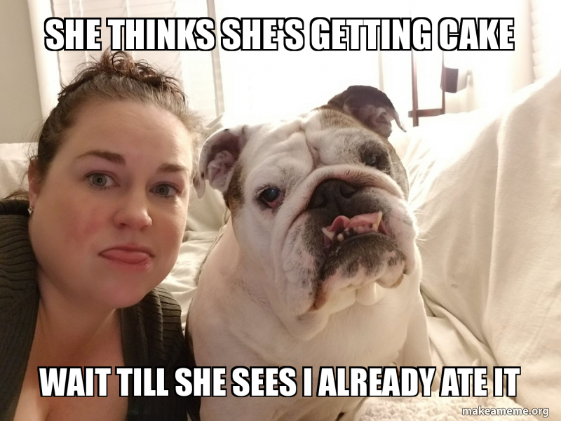 She thinks she's getting cake wait till she sees I already ate it Meme