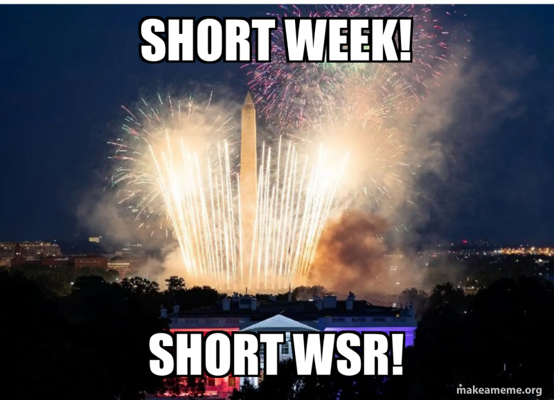 Short week! Short WSR! Meme Generator