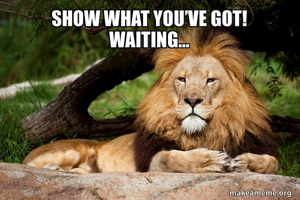 Contemplative Lion meme