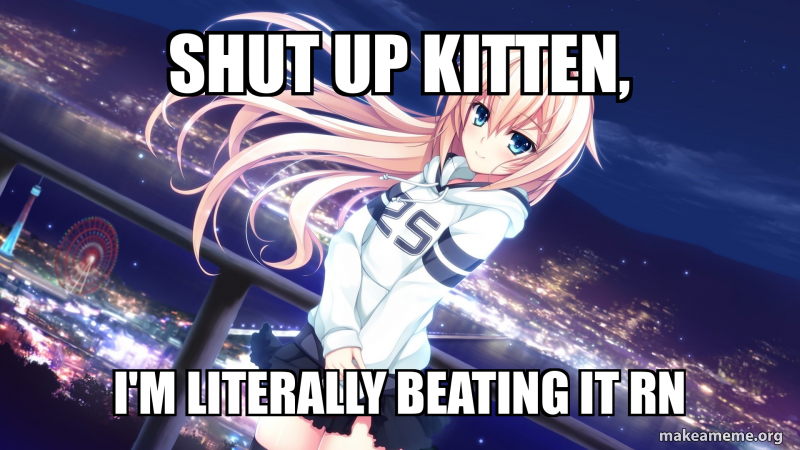 Shut up kitten, I'm literally beating it rn Meme Generator
