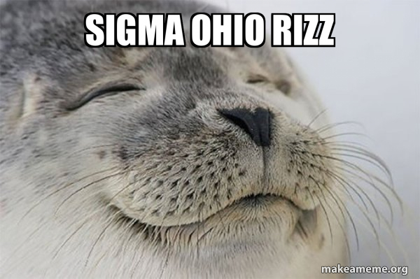 sigma ohio rizz - Satisfied Seal Meme Generator
