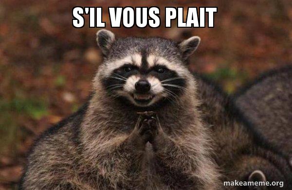 s'il vous plait - Evil Plotting Raccoon Meme Generator