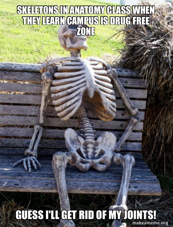 Joint Problem Meme Skeletons in anatomy class when they learn campus is drug free zone ...