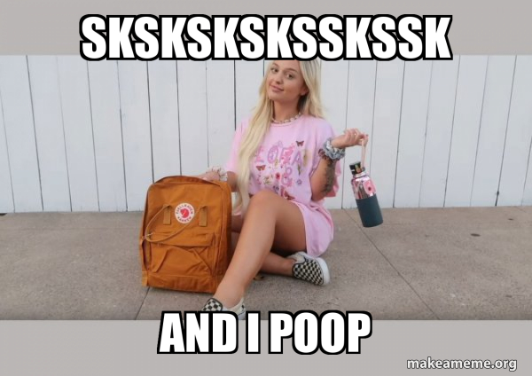 VSCO Girl meme