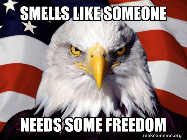 Smells like someone Needs some freedom - American Pride Eagle Meme Generator