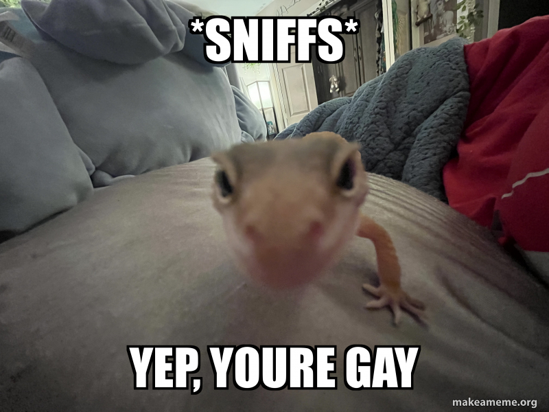 *sniffs* yep, youre gay Meme Generator