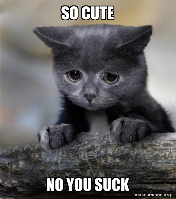 Confession Cat meme