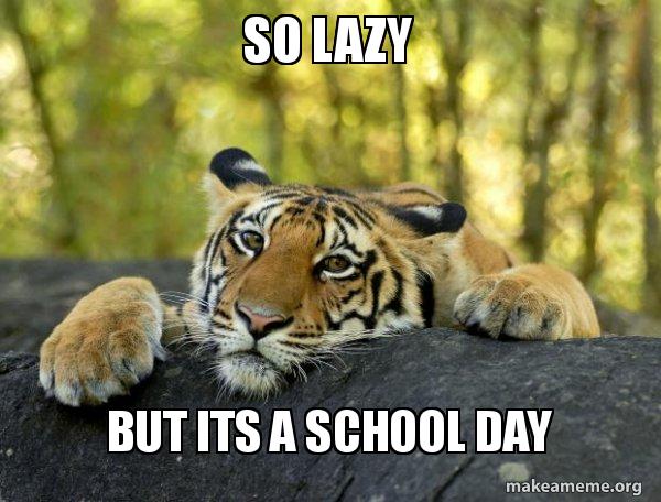 So Lazy But Its A School Day Lazy Tiger Make A Meme