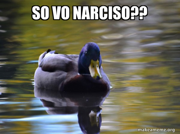 Zen Advice Mallard meme