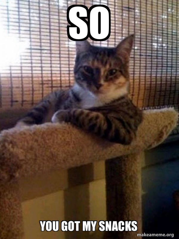 The Most Interesting Cat in the World meme
