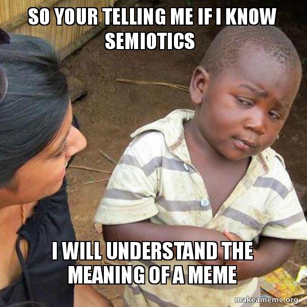 so your telling me if i know semiotics i will understand the meaning of a meme - Skeptical Third World Kid | Make a Meme