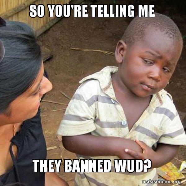 Skeptical Third World Kid meme