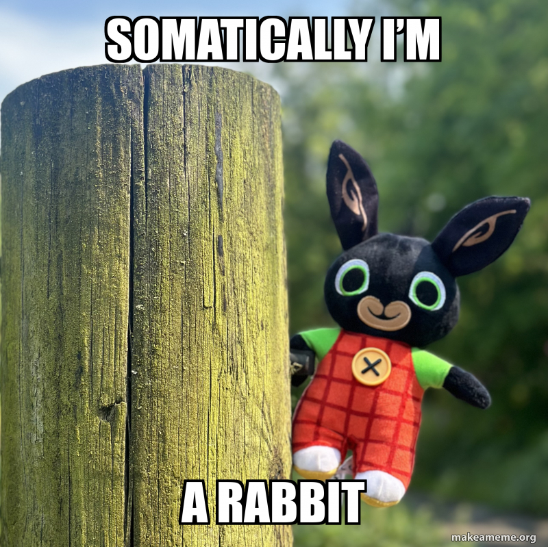 SOMATICALLY i’m A rabbit Meme Generator