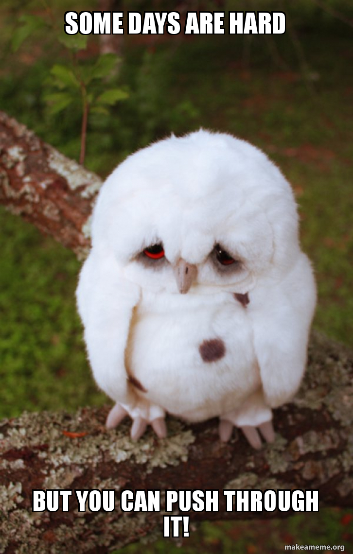 Some days are HARD But YOU can push through it! - Sad Owl Meme Generator, image size:726x1140