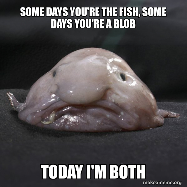 Blobfish meme