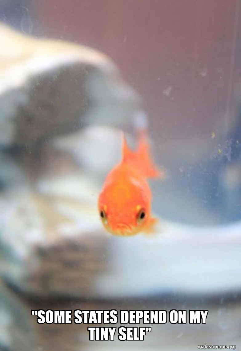 Grumpy Fish meme