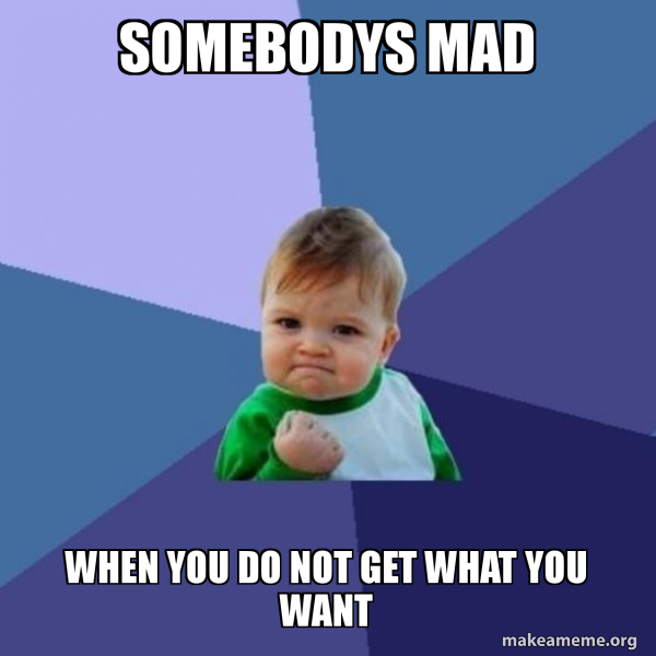 Somebodys Mad Somebody's Someone Lerner Publishing Group