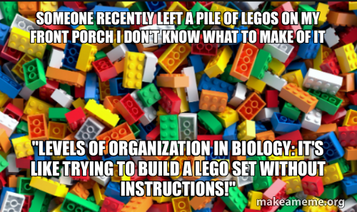 someone recently left a pile of Legos on my front porch I don't know ...