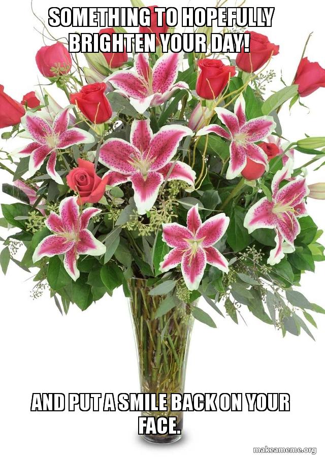 Something To Hopefully Brighten Your Day And Put A Smile Back On Your Face Make A Meme