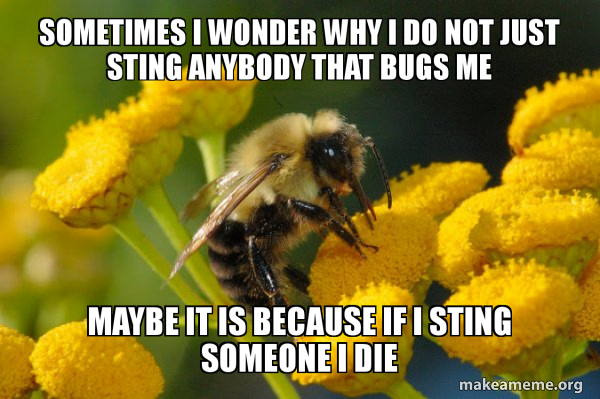 Good Guy Bee meme